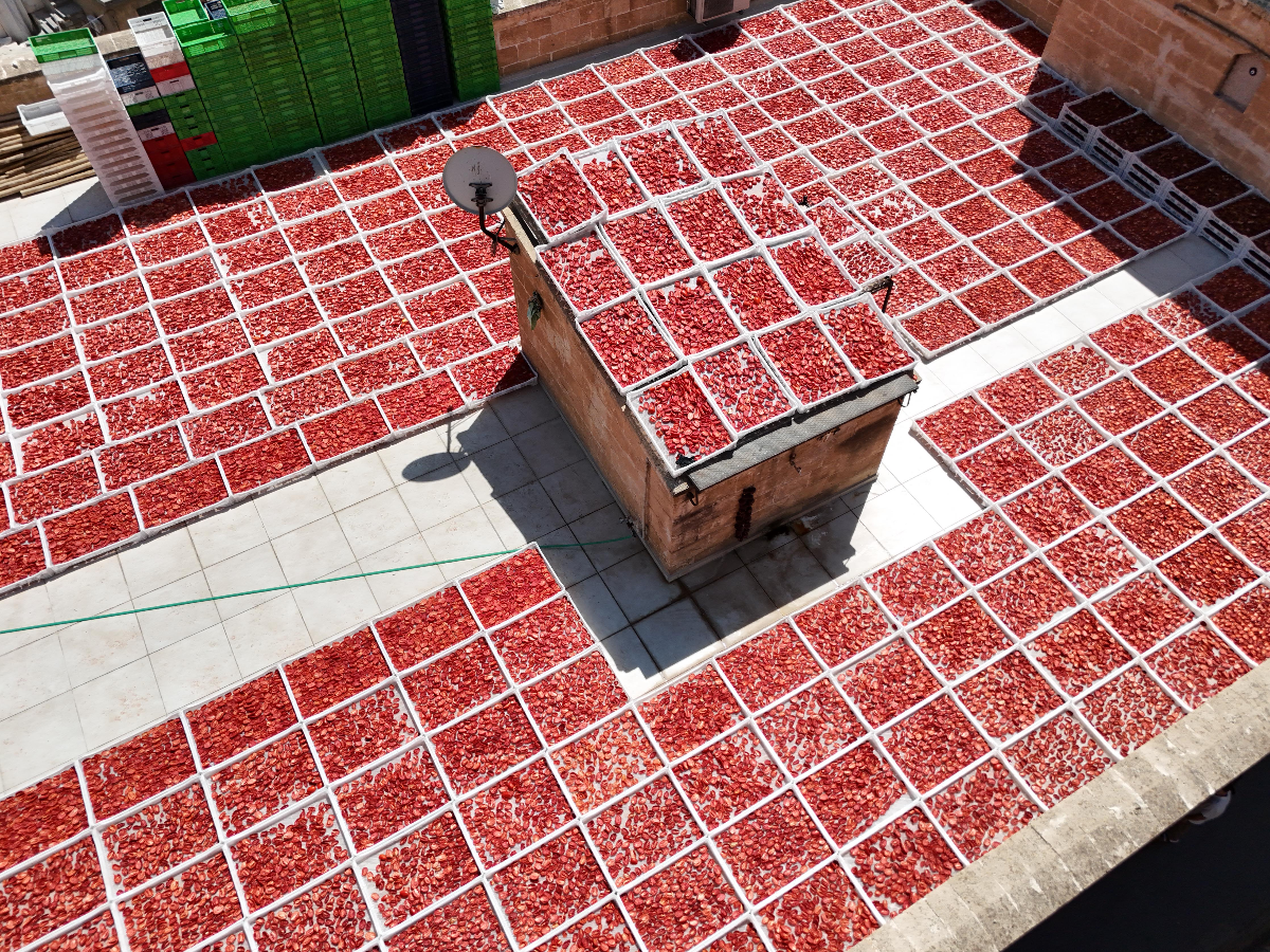 Topraktan Tabağa Kooperatifi